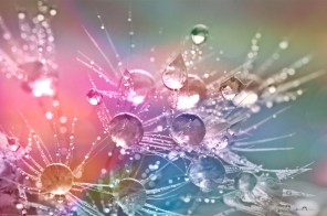 drop-of-water-862316_1920